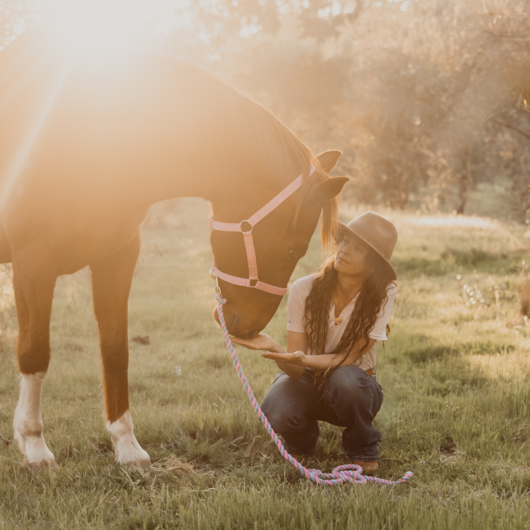 A woman kneeling on the grass, gently holding a brown horse's chin