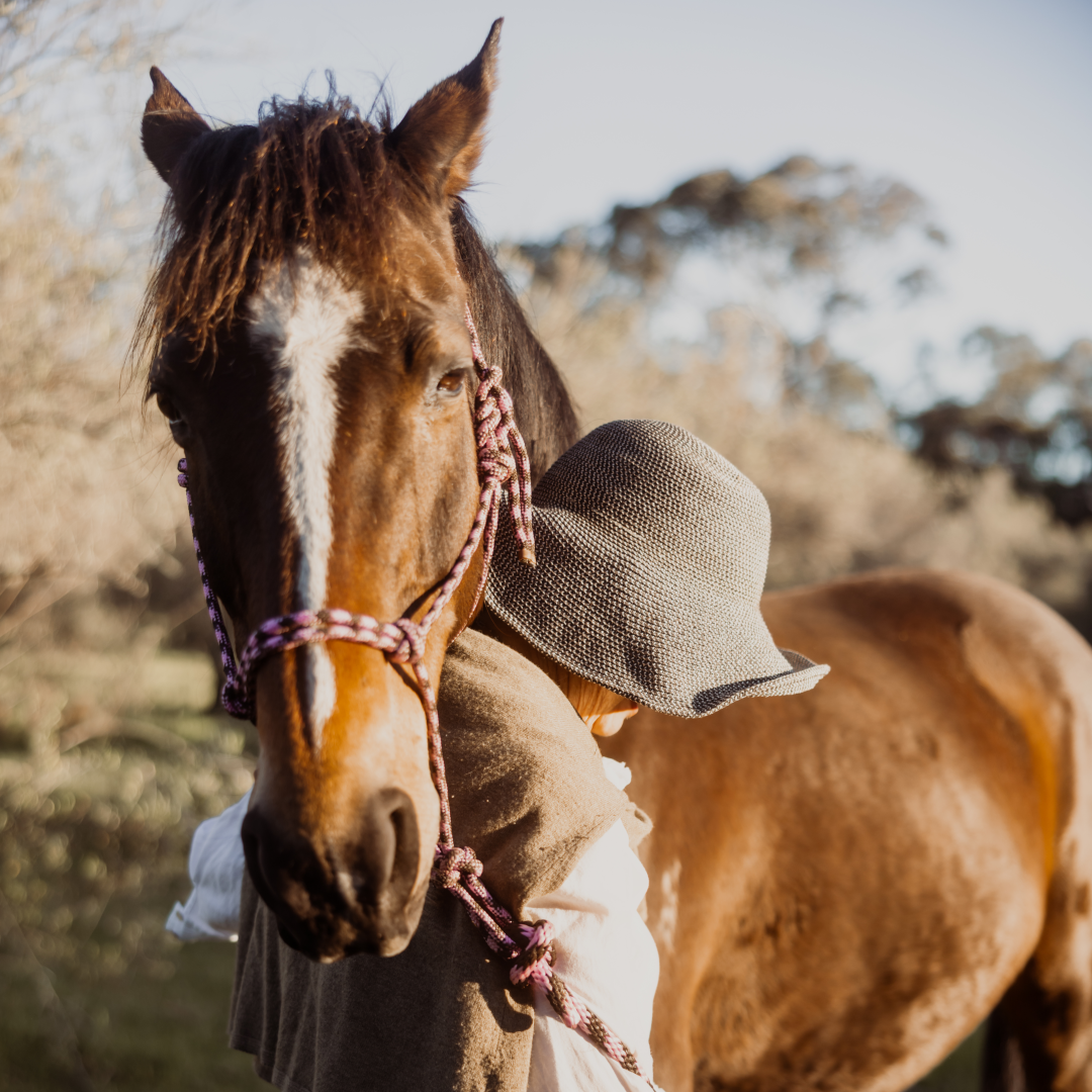 A person hugging a brown horse with a white blaze on its face